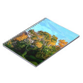 AUTUMN TREES NOTITIEBOEK (Linkerzijde)