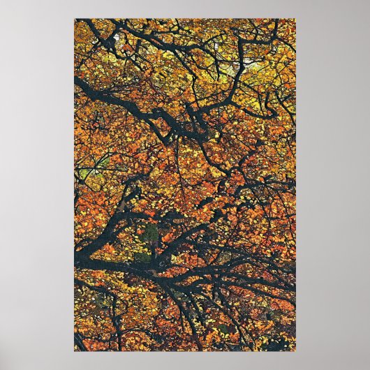 AUTUMN TREES POSTER (Voorkant)