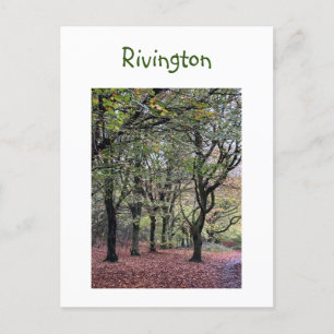 Autumn Trees Rivington Briefkaart