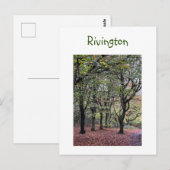 Autumn Trees Rivington Briefkaart (Voorkant / Achterkant)
