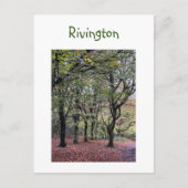 Autumn Trees Rivington Briefkaart (Voorkant)