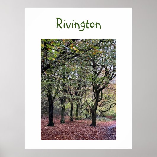 Autumn Trees Rivington Poster (Voorkant)