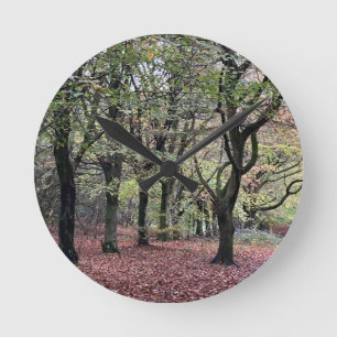 Autumn Trees Rivington Ronde Klok