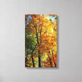 Autumn Trees Stretched Canvas Print (Voorkant)