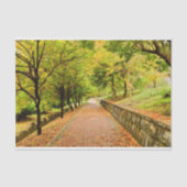 Autumn Trees Tissuepapier (Voorkant)