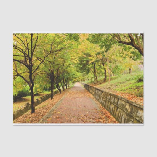 Autumn Trees Tissuepapier (Voorkant)