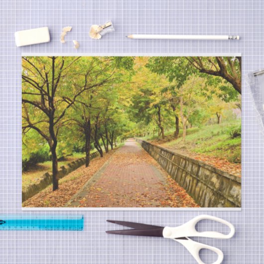 Autumn Trees Tissuepapier (Craft)