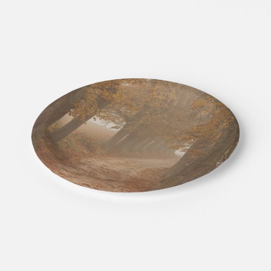 Autumn Trees Woodland Path Foto Papieren Bordje (Gekanteld)