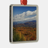 Autumn uitzicht Zuid-Appalachian Mountains Metalen Ornament (Rechts)