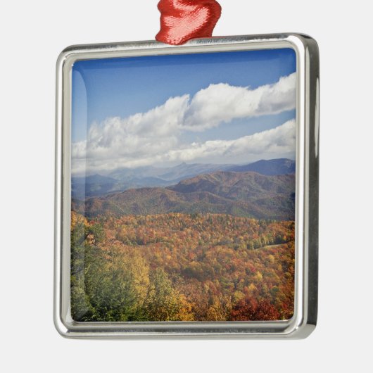 Autumn uitzicht Zuid-Appalachian Mountains Metalen Ornament (Links)