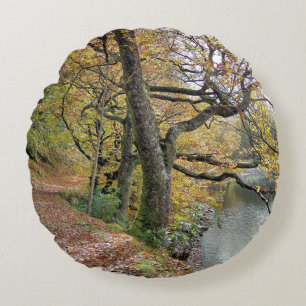 AUTUMN VAN DE REKENKAMER ROND KUSSEN