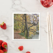 AUTUMN VAN DE REKENKAMER SERVETTEN (Insitu)