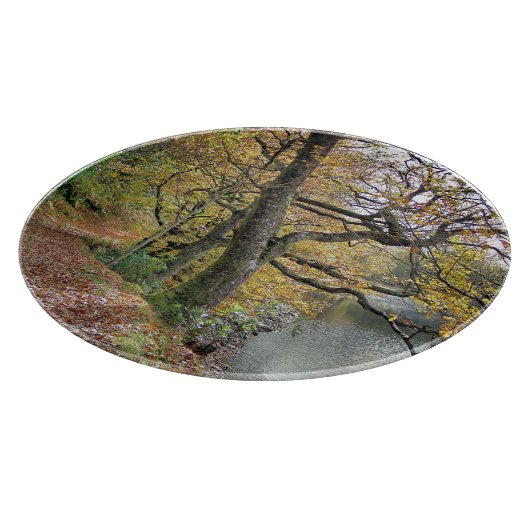 AUTUMN VAN DE REKENKAMER SNIJPLANK (Hoek)