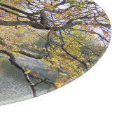 AUTUMN VAN DE REKENKAMER SNIJPLANK (Hoek)