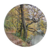 AUTUMN VAN DE REKENKAMER SNIJPLANK (Voorkant)