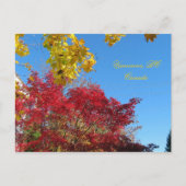 Autumn Vancouver, BC Briefkaart (Voorkant)