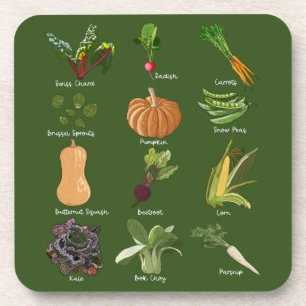 Autumn Veggies Herfst Vegetable Harvest Bier Onderzetter