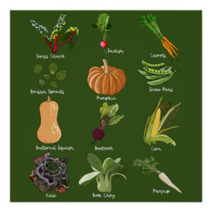 Autumn Veggies Herfst Vegetable Harvest Perfect Poster