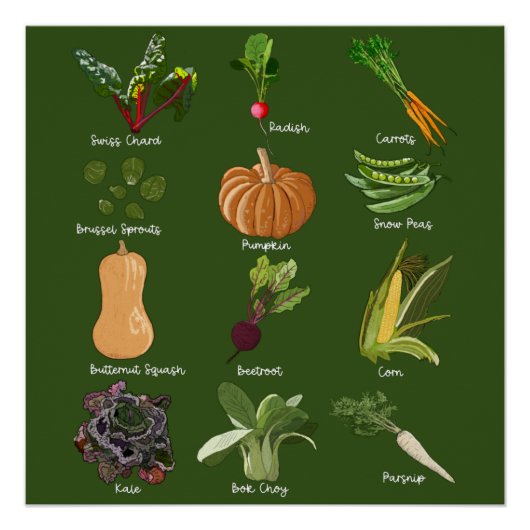 Autumn Veggies Herfst Vegetable Harvest Perfect Poster (Voorkant)