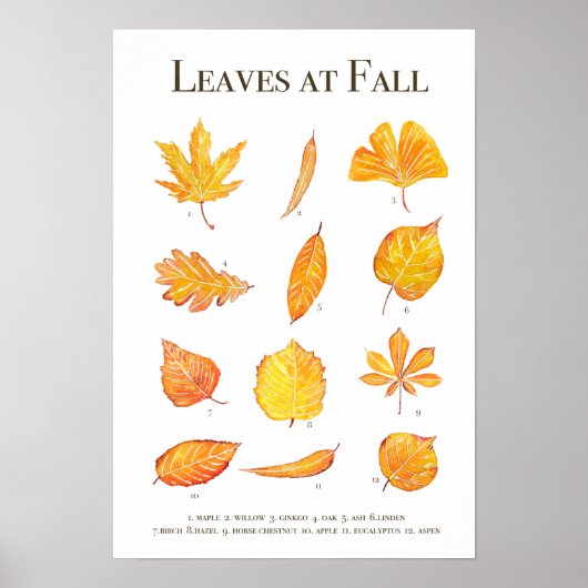 Autumn verlaat collectie waterverf poster (Voorkant)
