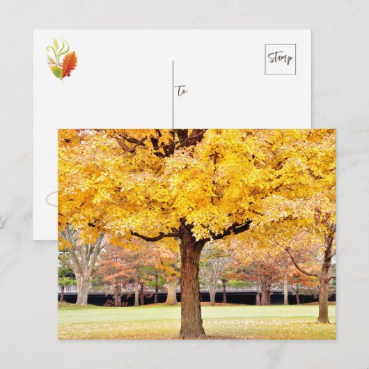 Autumn Vibes Briefkaart (Voorkant / Achterkant)