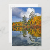 Autumn vijver reflecteert, Maine Briefkaart (Voorkant / Achterkant)