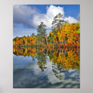 Autumn vijver reflecteert, Maine Poster