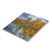 Autumn vijver reflecteert, Maine Tegeltje (Zijkant)