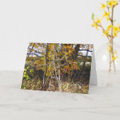 Autumn Vine Tangle & Berries "Ahh" Kaart (Gele Bloem)