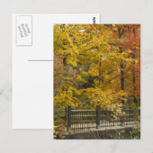 Autumn Vine Wedding Briefkaart (Voorkant / Achterkant)