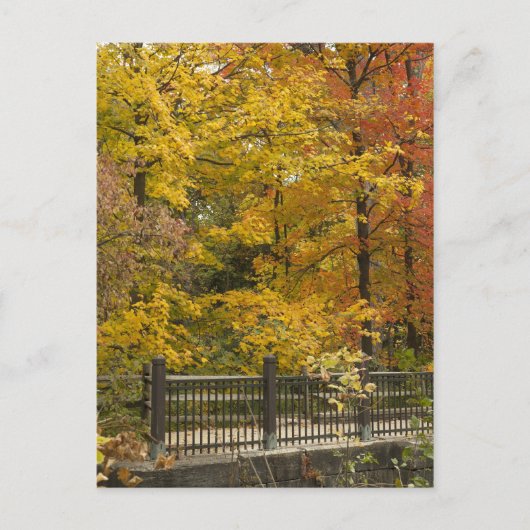 Autumn Vine Wedding Briefkaart (Voorkant)