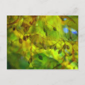 Autumn Vision Briefkaart (Voorkant)