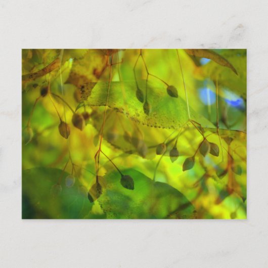 Autumn Vision Briefkaart (Voorkant)