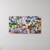 Autumn w/ gele paddenstoelen en bruine gestorven b canvas afdruk (Voorkant)