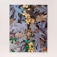 Autumn w/ gele paddenstoelen en bruine gestorven b