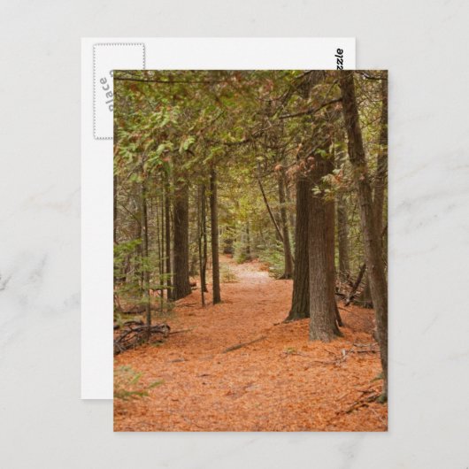 Autumn Walk Briefkaart (Voorkant / Achterkant)