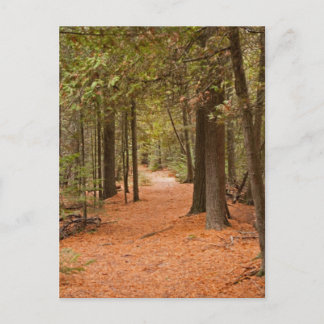 Autumn Walk Briefkaart