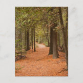 Autumn Walk Briefkaart (Voorkant)