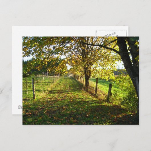 Autumn Walk Briefkaart (Voorkant / Achterkant)