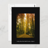 Autumn Walk Briefkaart (Voorkant / Achterkant)