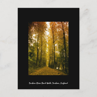 Autumn Walk Briefkaart