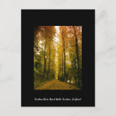 Autumn Walk Briefkaart (Voorkant)
