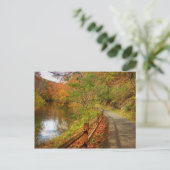 Autumn Walk Lynchburg City Trails Briefkaart (Staand voorkant)