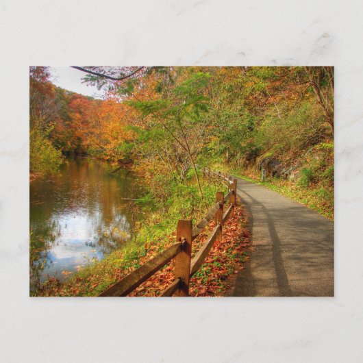 Autumn Walk Lynchburg City Trails Briefkaart (Voorkant)