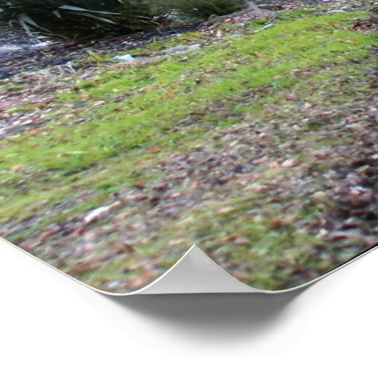 "Autumn Walk" Poster (Hoek)