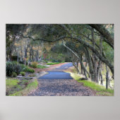 "Autumn Walk" Poster (Voorkant)