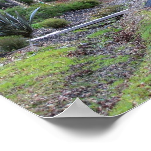 "Autumn Walk" Poster (Hoek)