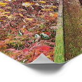 Autumn Walk Poster (Hoek)