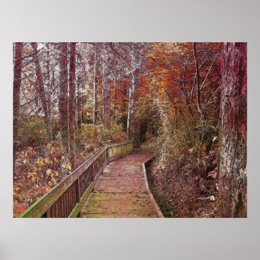 Autumn Walk Poster (Voorkant)