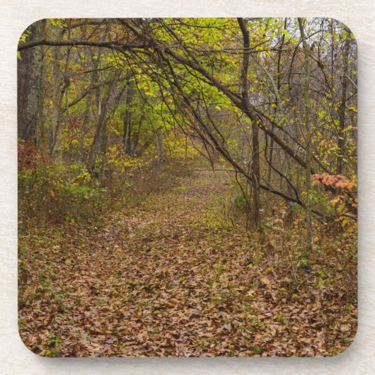 Autumn Walkway Bier Onderzetter (Voorkant)